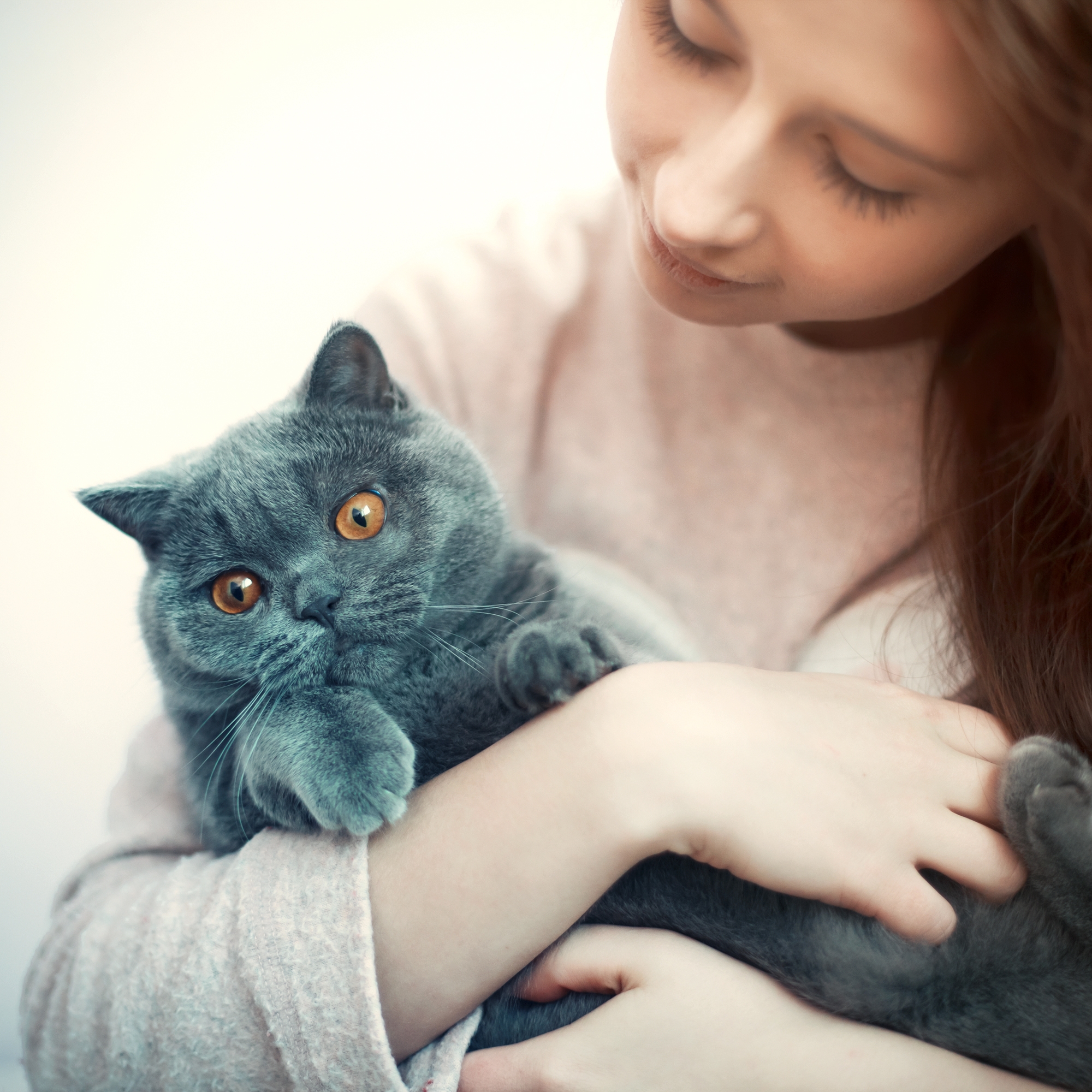 close up girl hugging her cat Artikel