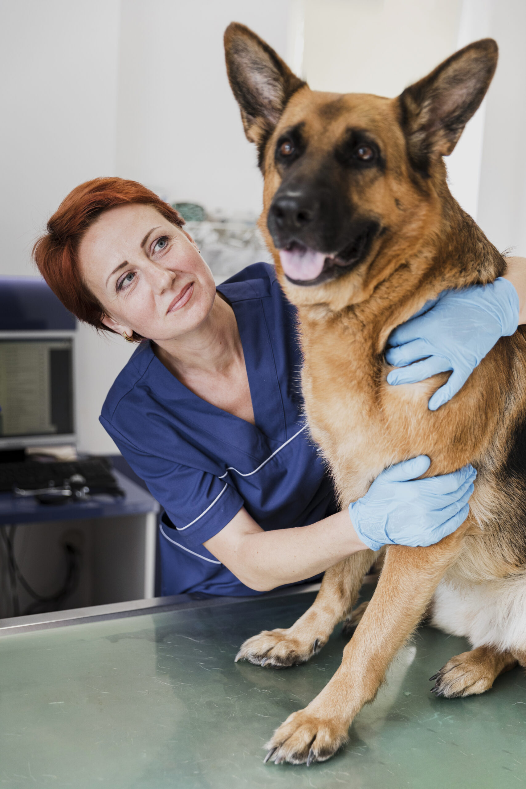 medium shot smiley doctor hugging cute dog scaled Artikel